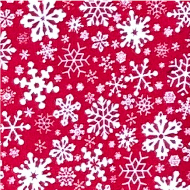 Winter Holiday
